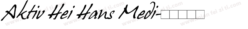 Aktiv Hei Hans Medi字体转换